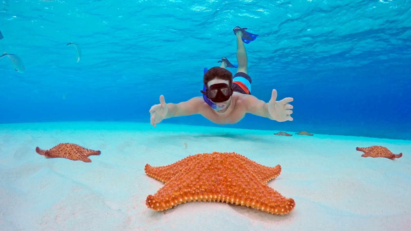 El Cielo Tour Cozumel Best Excursions