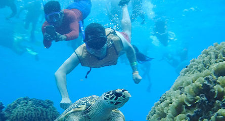 snorkel boat underwater turtle